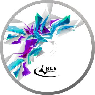 Fractal 16