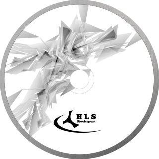 Fractal 19
