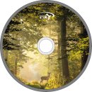 2026 Design 10 Schülerstock