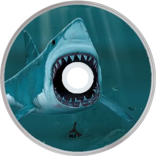 Shark 01