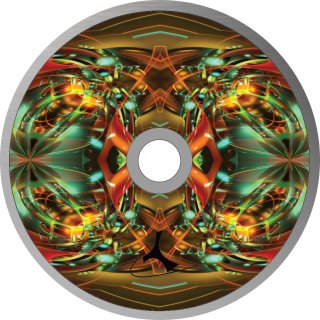 Fractal 01 student stick