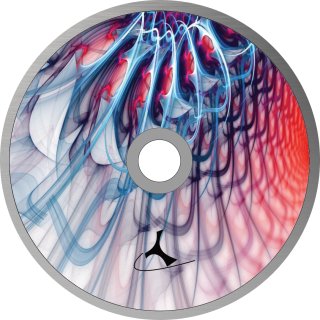 Fractal 07 student stick